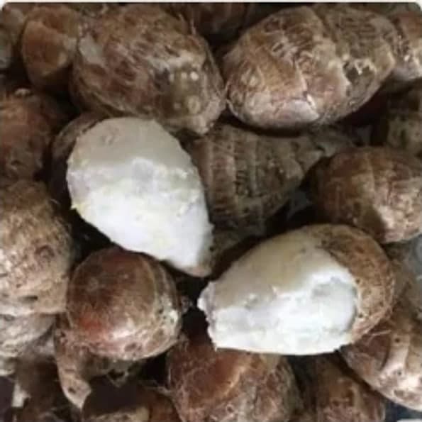 Khoai sọ trứng