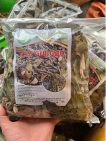 Tầm gửi gạo